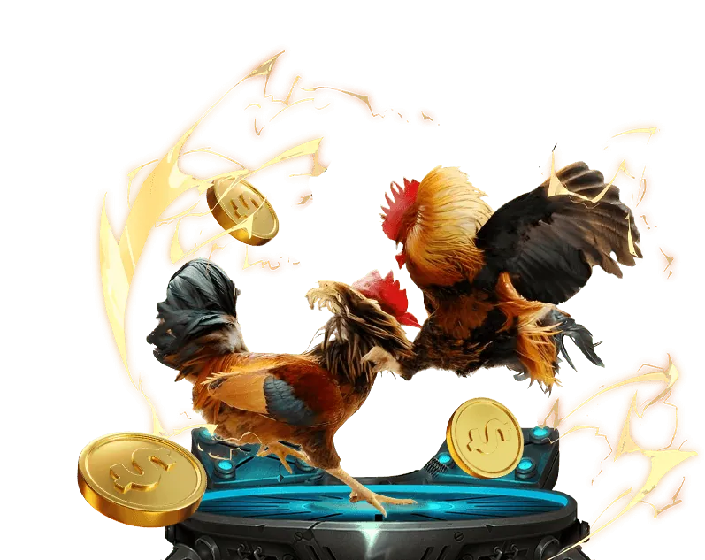 Tổng quan về đá gà trực tuyến và cá cược